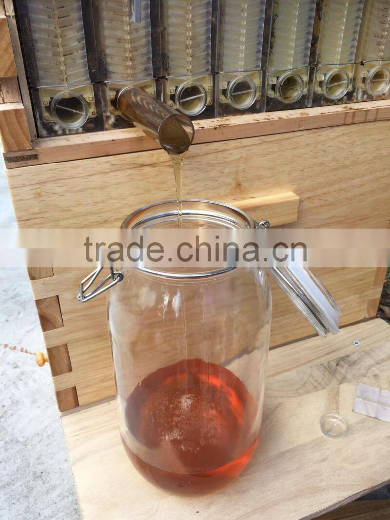 Super supplier For Automatic langstroth flowing bee hive with 7 frames