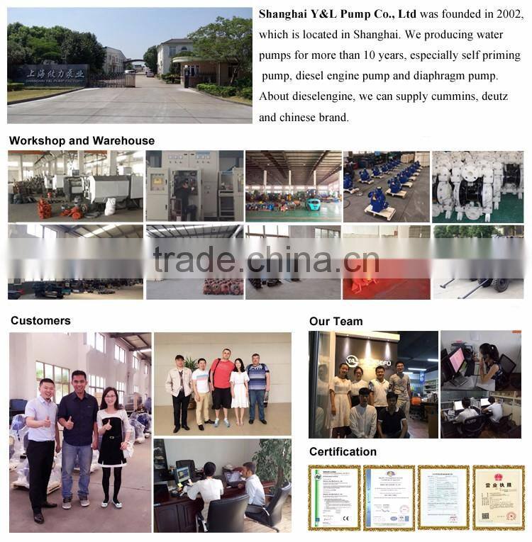 Cast Iron Diesel Engine Water Fire Fighting Pumps