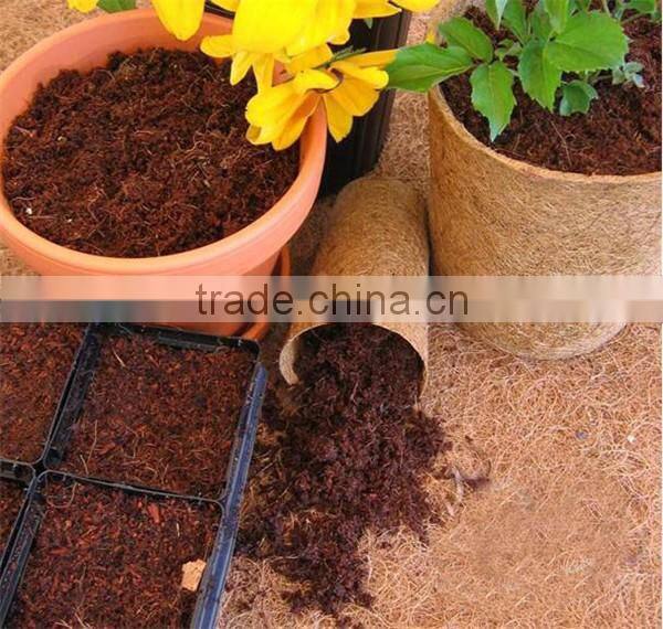 1500 kg per hour Factory price coco peat dryer/coir fibre dryer machine for sale