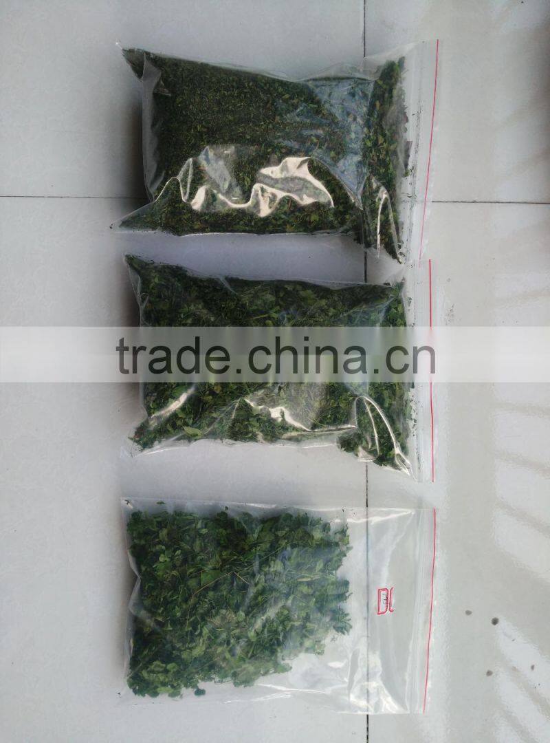 Industrial continuous type moringa leaf microwave dryer/drying machine