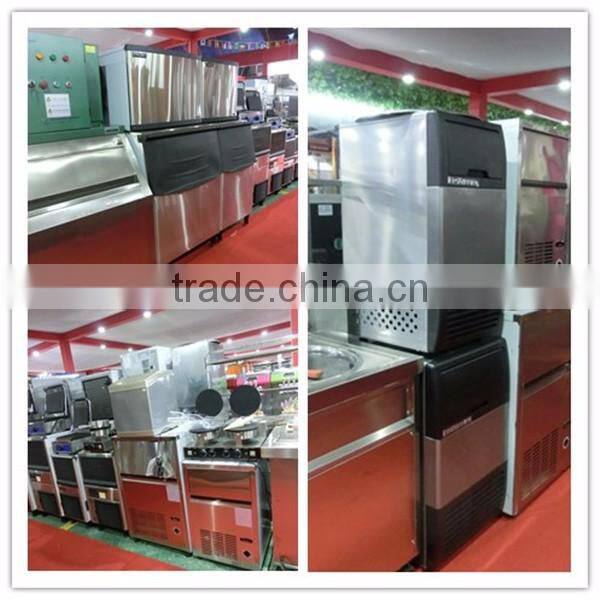 Best Sale Snow Flake Ice Machine,Ice Flake Machine With CE(ZQ-04K)
