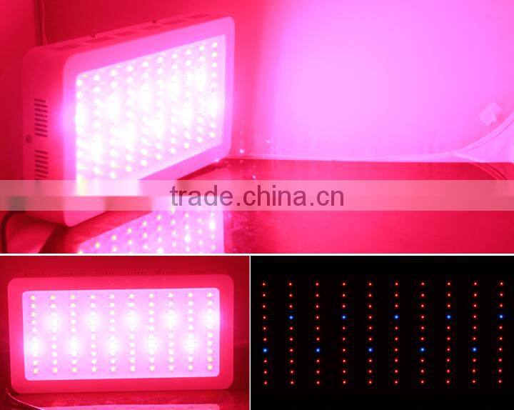High Quality China Made 300W LED Grow Light