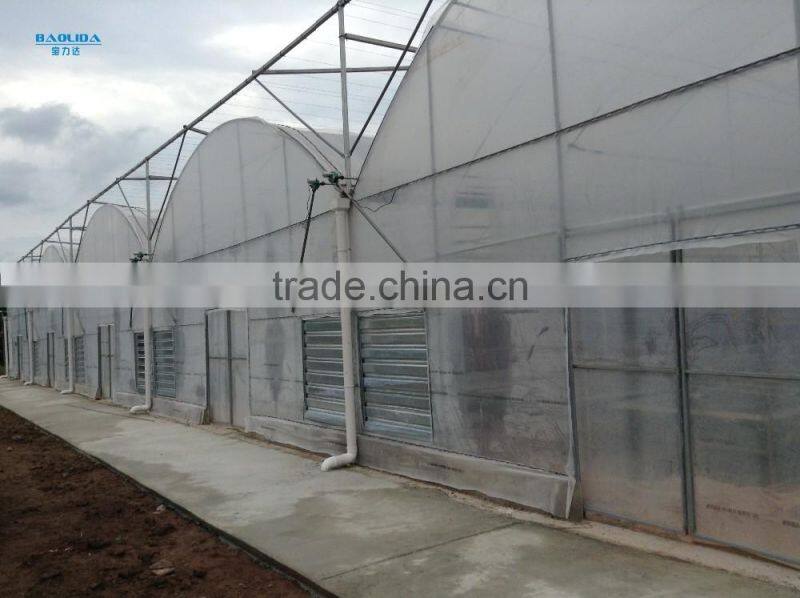 Commercial hydroponic systems for vegetable greenhouse