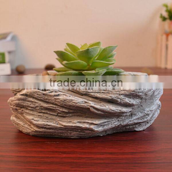 Succulent plant small indoor stone flowerpot