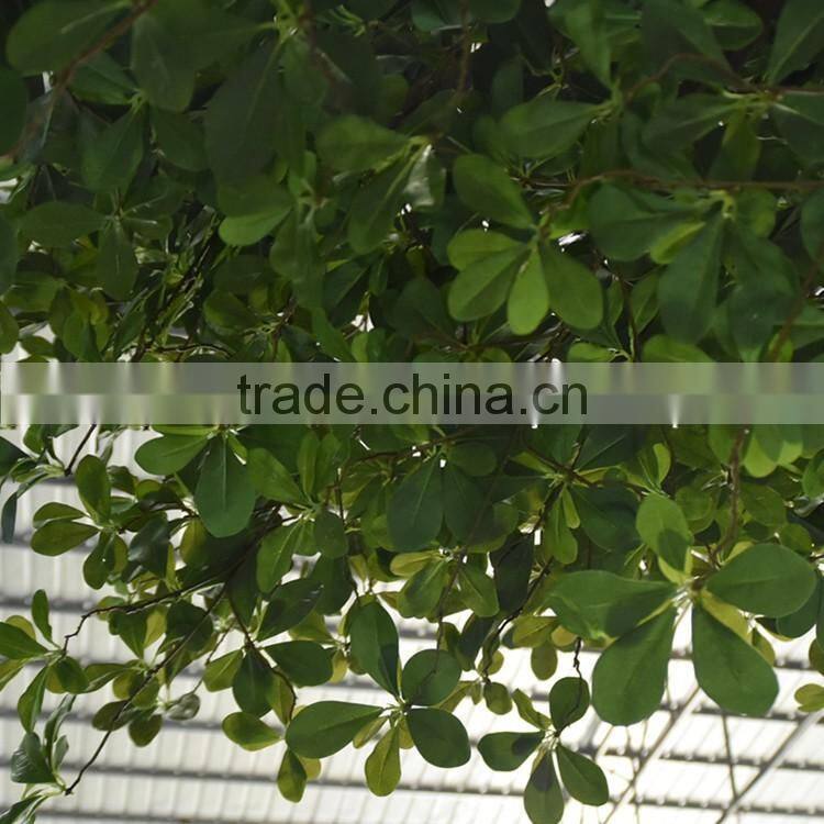 Artificial Large Outdoor Money Tree Green Large Artificial Decorative Rich Tree Money Plant Tree