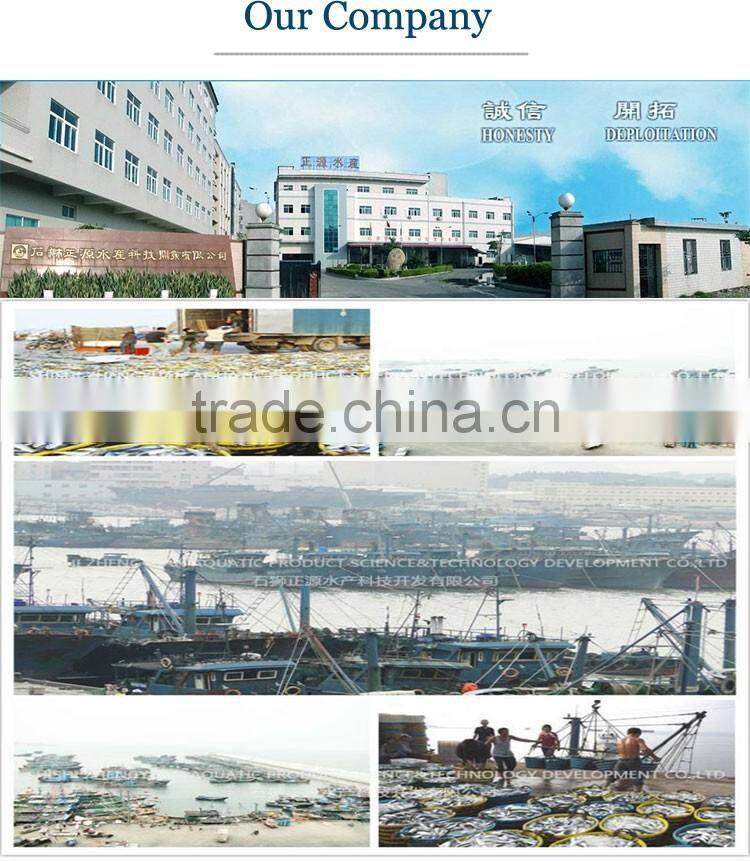 New catch whole round BQF fresh land frozen sardine with cheap price and good quality