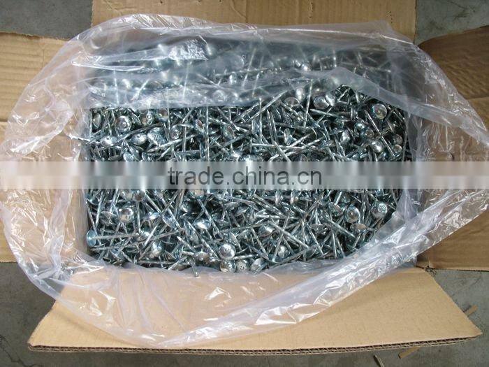high quality roofing nails