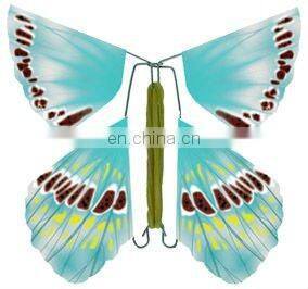 fly surprise butterfly