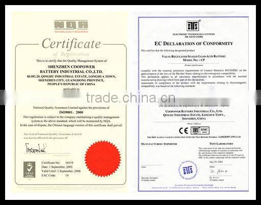 AGM Lead acid battery / 12V100AH Solar battery and Rechargeable Battery