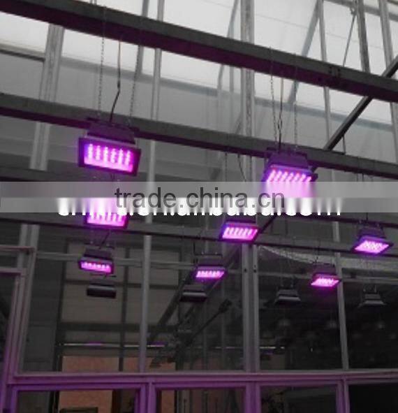 20W Greenhouse LED Plant Light for Growing Tomato, Lettuce, Vegetable, Flower, Orchid, Medicinal Plants