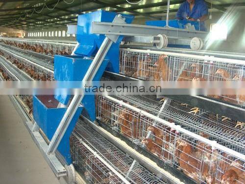 layer egg chicken cage/poultry farm house design layer chicken battery cage