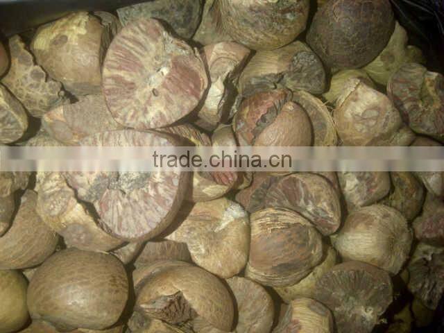 Dried Betel Nut High Quality Big size
