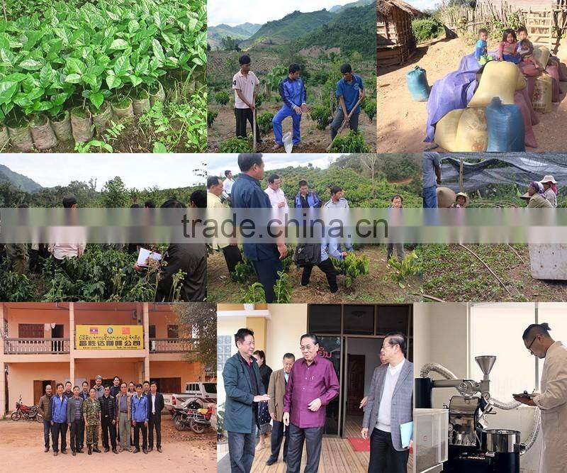 coffee beans roasted