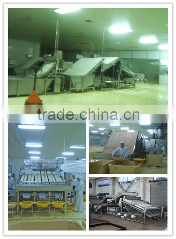 squid fish select machine