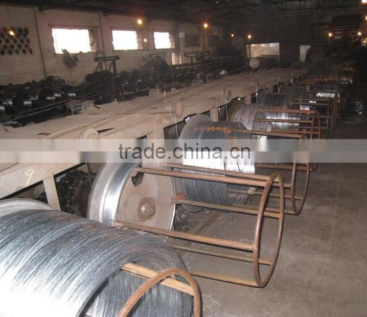 Electro galvanized iron wire