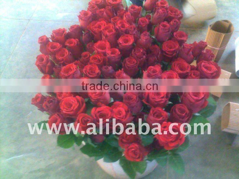 Fresh Fresh cut hot Roses Roses