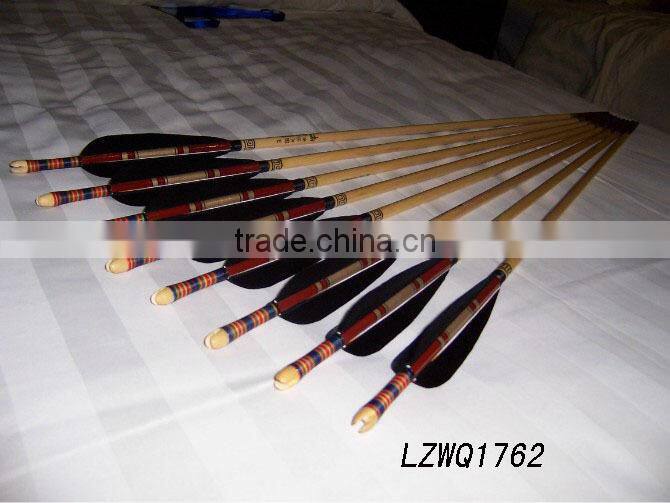 Feather Arrows LZWQ1764