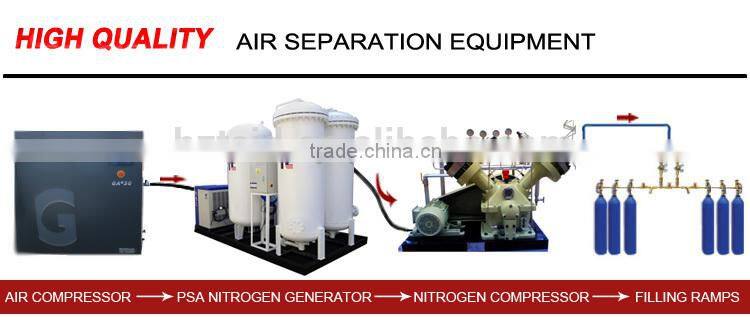 China PSA Nitrogen Plant Process CE Aproval OEM Manufacture