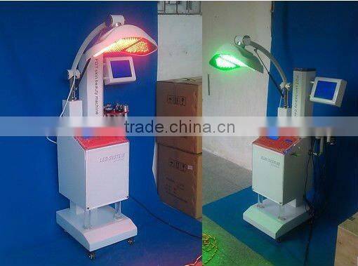 2013 PDF Skin Beauty Mcahine beauty deivce AYJ-X6