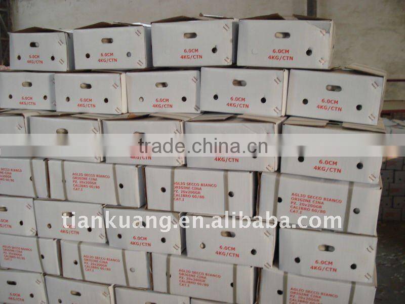 China pure white garlic