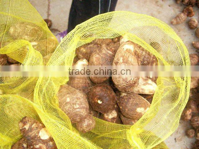 Fresh Taro