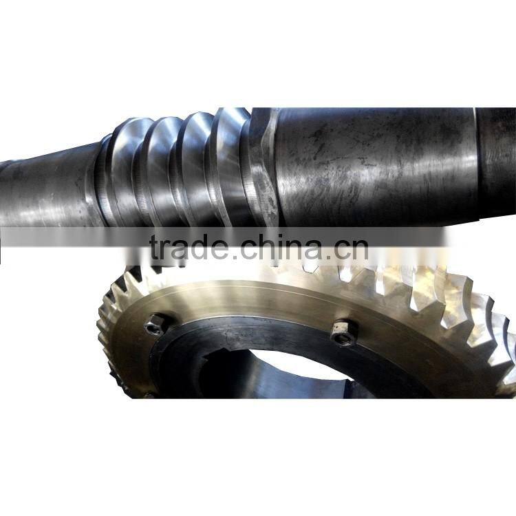 China fcatory casting worm gear