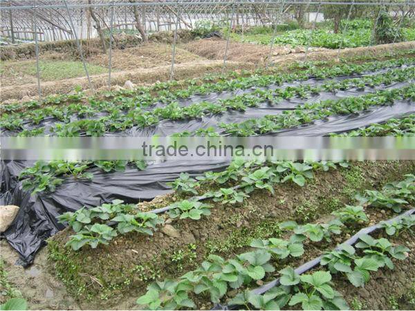 PE lay flat irrigation hose