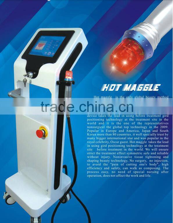 NL-TM800 2014 Hottest in USA!! Fractional RF&Microneedle Facial Treatment Beauty Body and Face