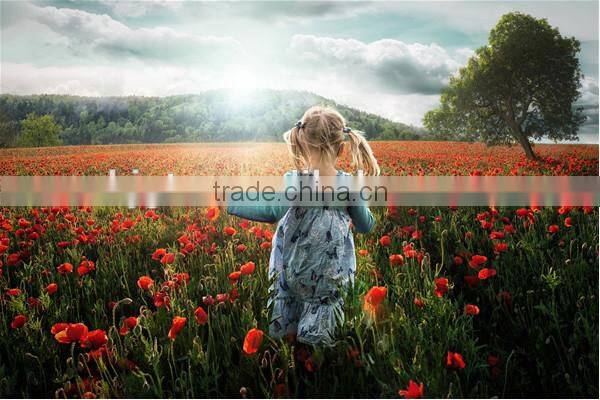 GTO high quality SKIN ROLLER 540 derma roller