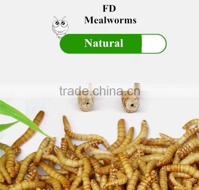 Freeze Dried Mealworms for Pet Food