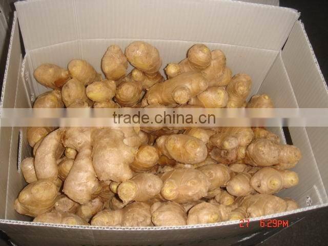 Organic fresh ginger