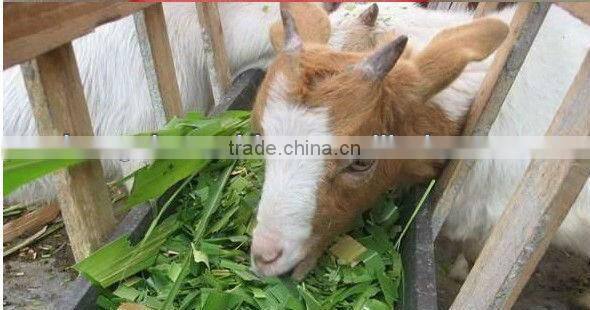 MIni portable rice straw hay shredder machine