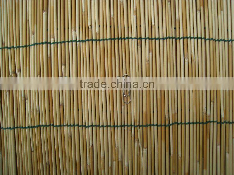 reed fence
