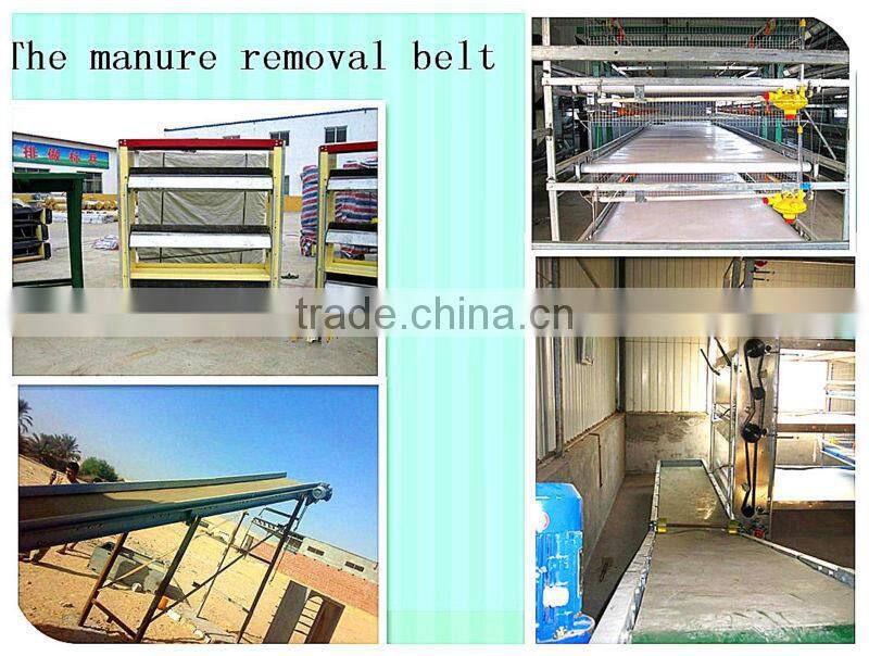 New design automatoc quail cage