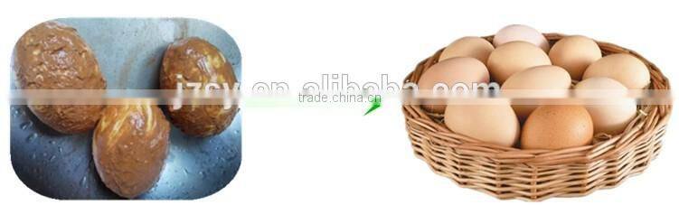 big capacity washing egg machine / egg washer for poultry farm