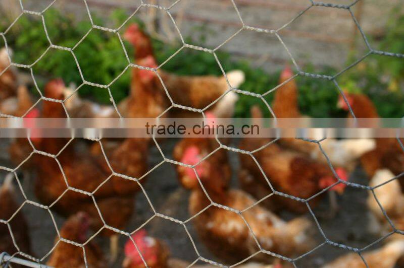 Anping Longyi factory twist chicken wire mesh/double twisted hexagonal gabion mesh(ISO factory & exporter)