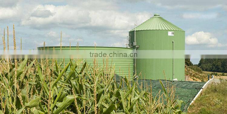 5000 tons rice soybean meal paddy feed sawdust steel storage silo