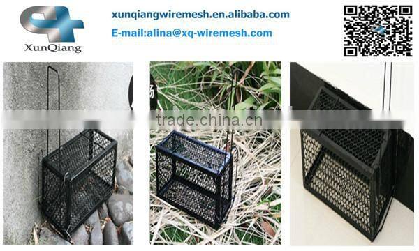 rat mouse trap cage
