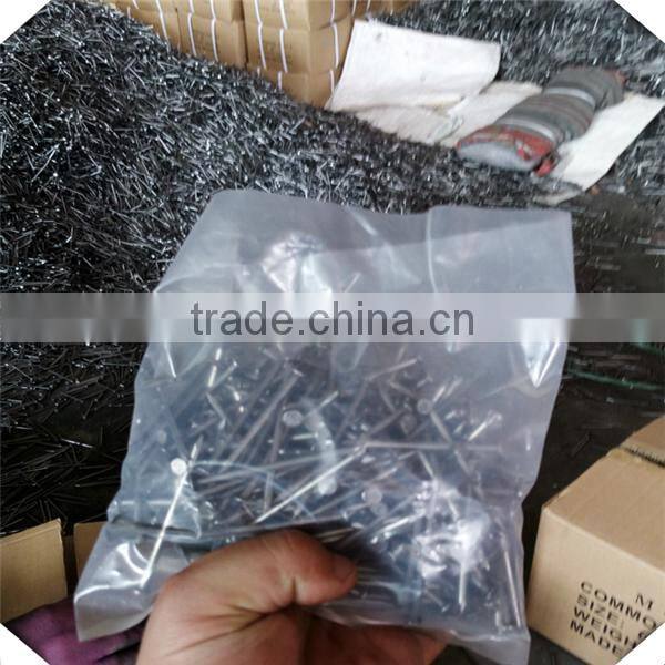 small common nails factocy / common iron nail / common wire nail for sale