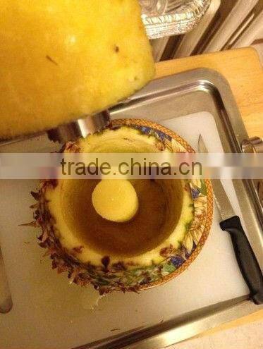 All Ware Stainless Steel Pineapple Easy Slicer and De-Corer