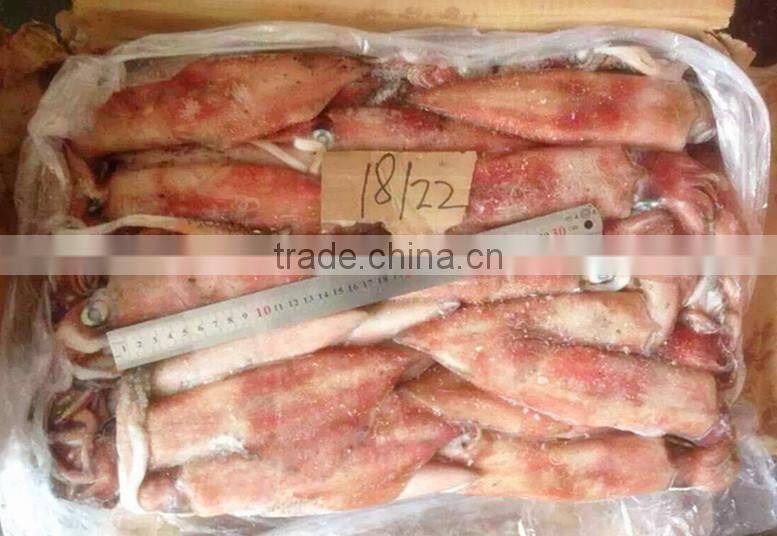 Frozen whole round red squid