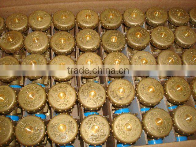 brass gas regulator(FM-01)