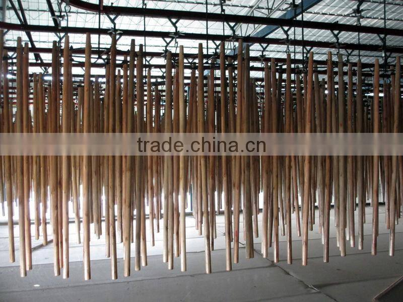 Varnished wooden mop stick