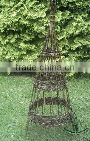 gardening willow obelisk