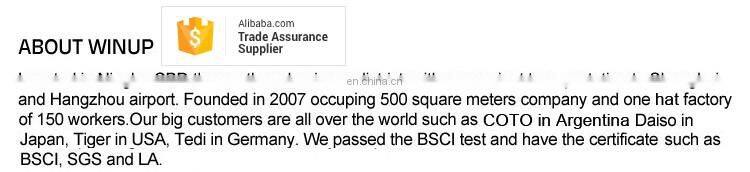 WINUP 2017 wholesale 100% cotton pineapple logo snapback baseball cap