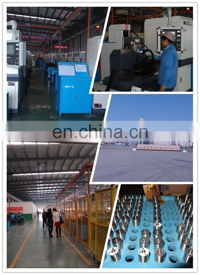 fuel injector plunger ,element 5304,5413,5732,6090,6250,6470