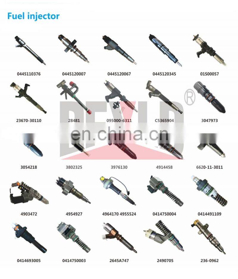 Genuine Fuel Injection Common Rail Fuel Injector 20430583