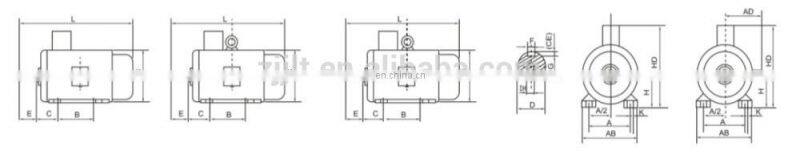 415v three phase ac electric motor