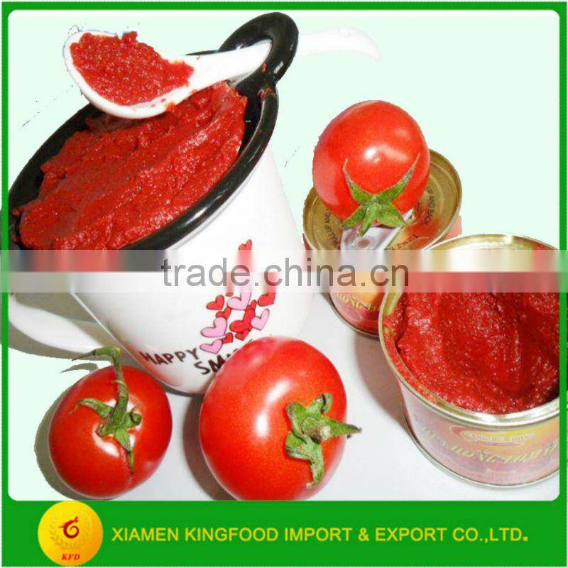 Best Quality of Newly Can of Tomato Paste with Wholesale Price