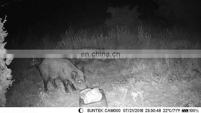 HC-550LTE Video Transit MMS SMTP FTP SMS Wildlife Camera Photo Trap hunting trail camera 4g lte